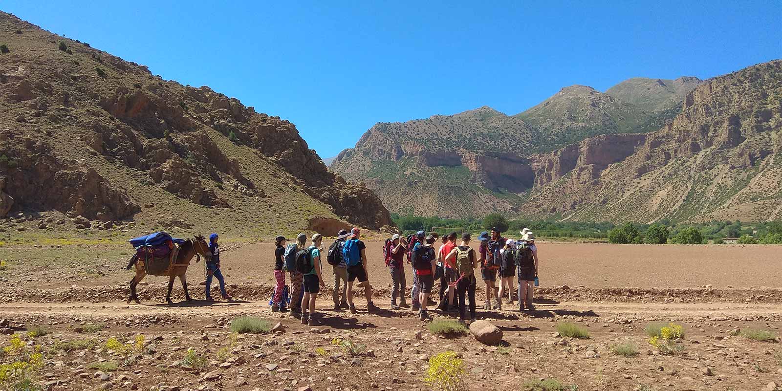 School group with mules and muleteer in Ait Bouguemez Valley in Atlas Mountains of Morocco