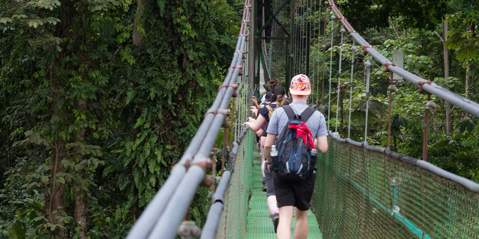 School group on canopy walkway in Costa Rican rainforest.