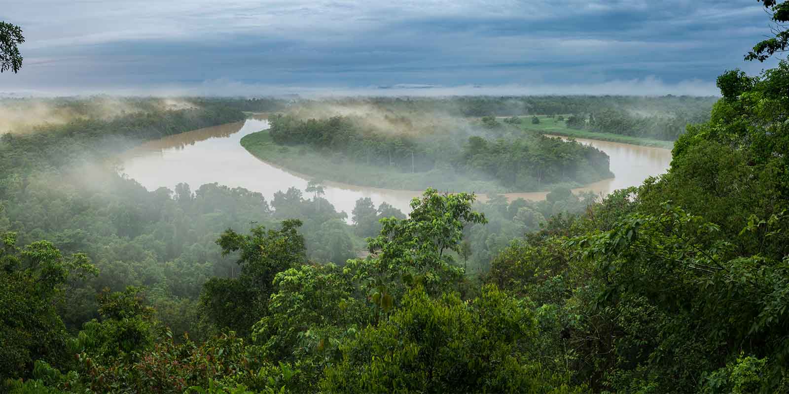 Morning mist over ox bow lake on Kinabatangan River.
