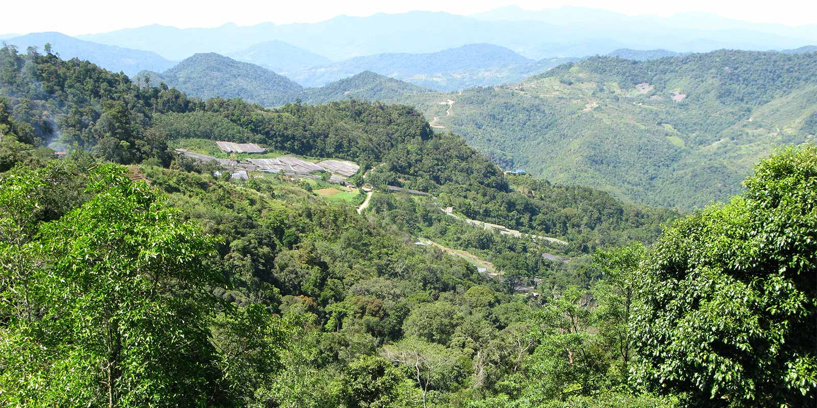 View out over forest and mountain landscape in Kiulu Valley