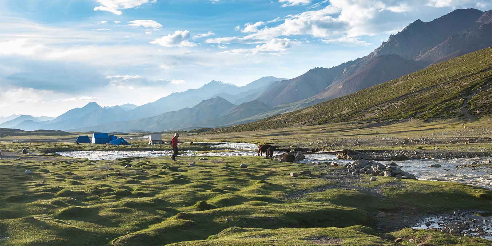 Nimaling campsite by the river in the Markha Valley