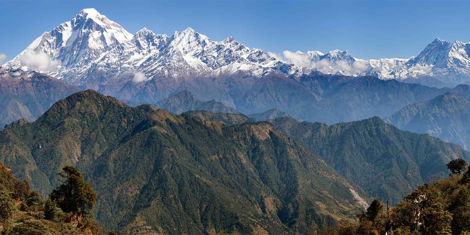 Panoramic view of snow-capped Annapurna mountain range