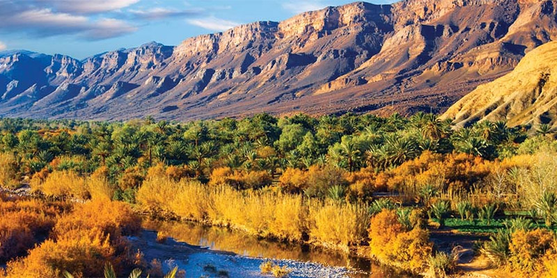 Lush Moroccan valley with arid mountainous backdrop