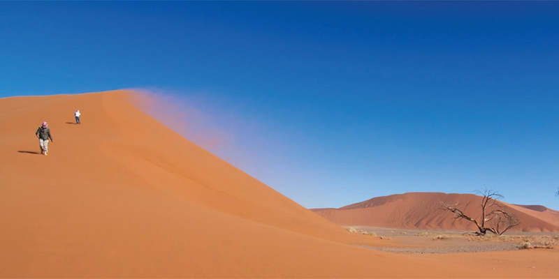 Descending dune at Sossusvlei in the Namib desert.