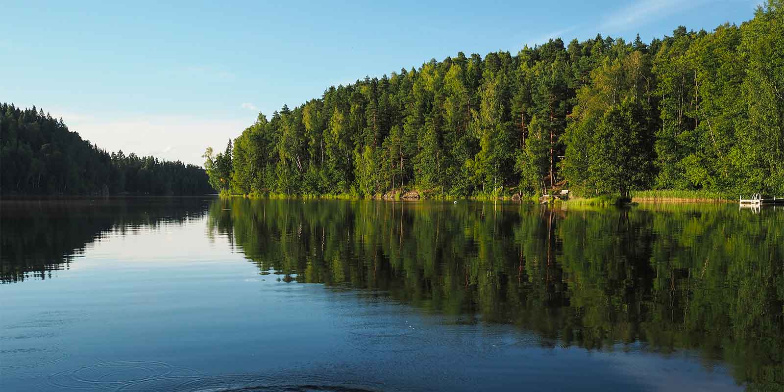 Calm lake in Hossa surrounded by pine trees