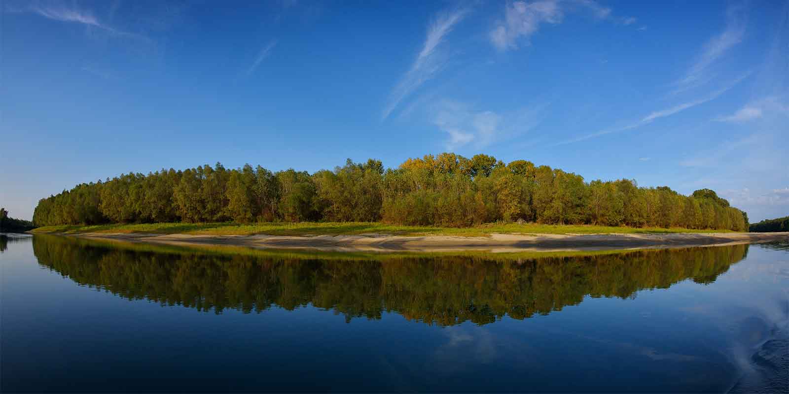 Tranquil island and its reflection in the river in the Danube Delta