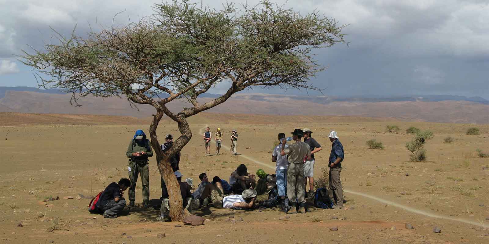Group of students resting under a shady tree in Africa desert