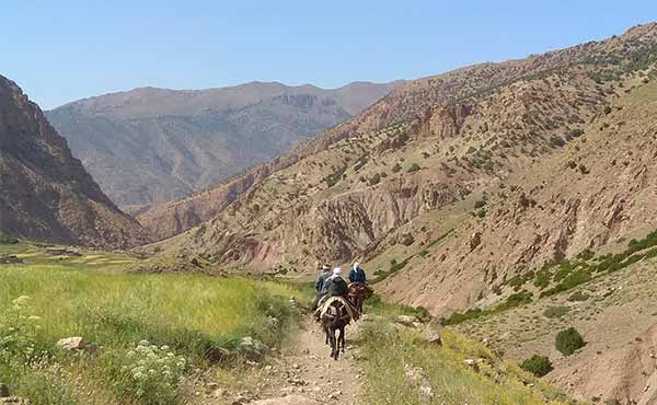 Mules and muleteers in Ait Bouguemez Valley in Atlas Mountains of Morocco