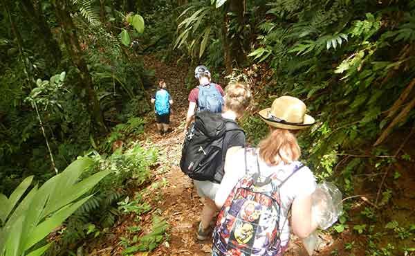 Group of students hiking through the rainforest in Costa Rica