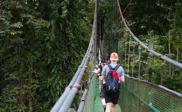School group on canopy walkway in Costa Rican rainforest