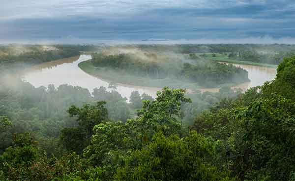 Morning mist over ox bow lake on Kinabatangan River