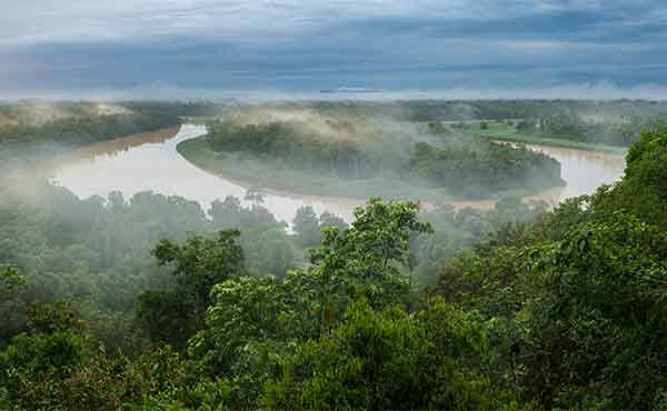 Morning mist over ox bow lake on Kinabatangan River