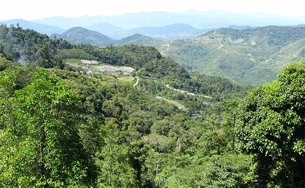 View out over forest and mountain landscape in Kiulu Valley