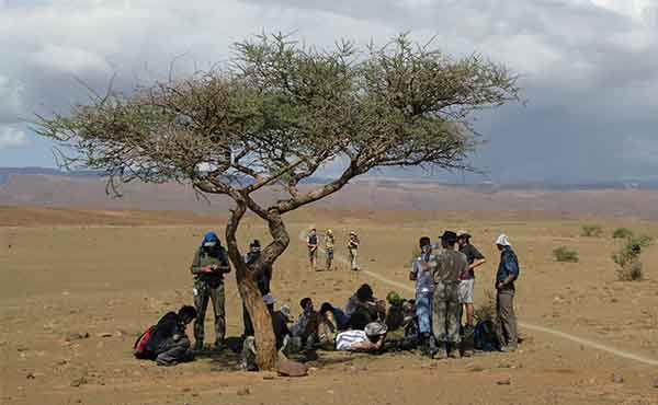 Group of students resting under a shady tree in Africa desert